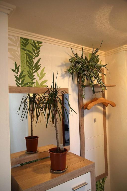 Haus Panoramaweg Apartment Sohren Стая снимка